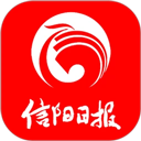 视频解析大师